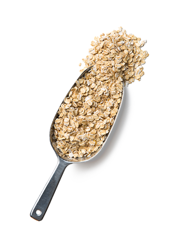 Scoop of Rolled Oats